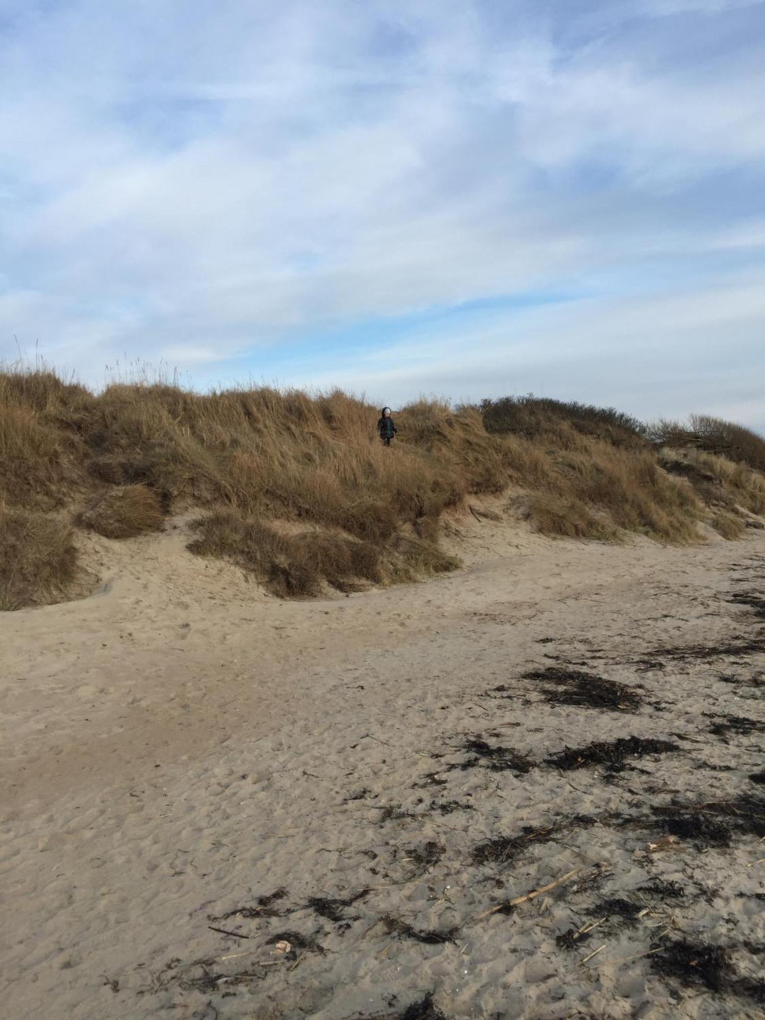 Hotell Vesterhavet Falkenberg Exteriér fotografie